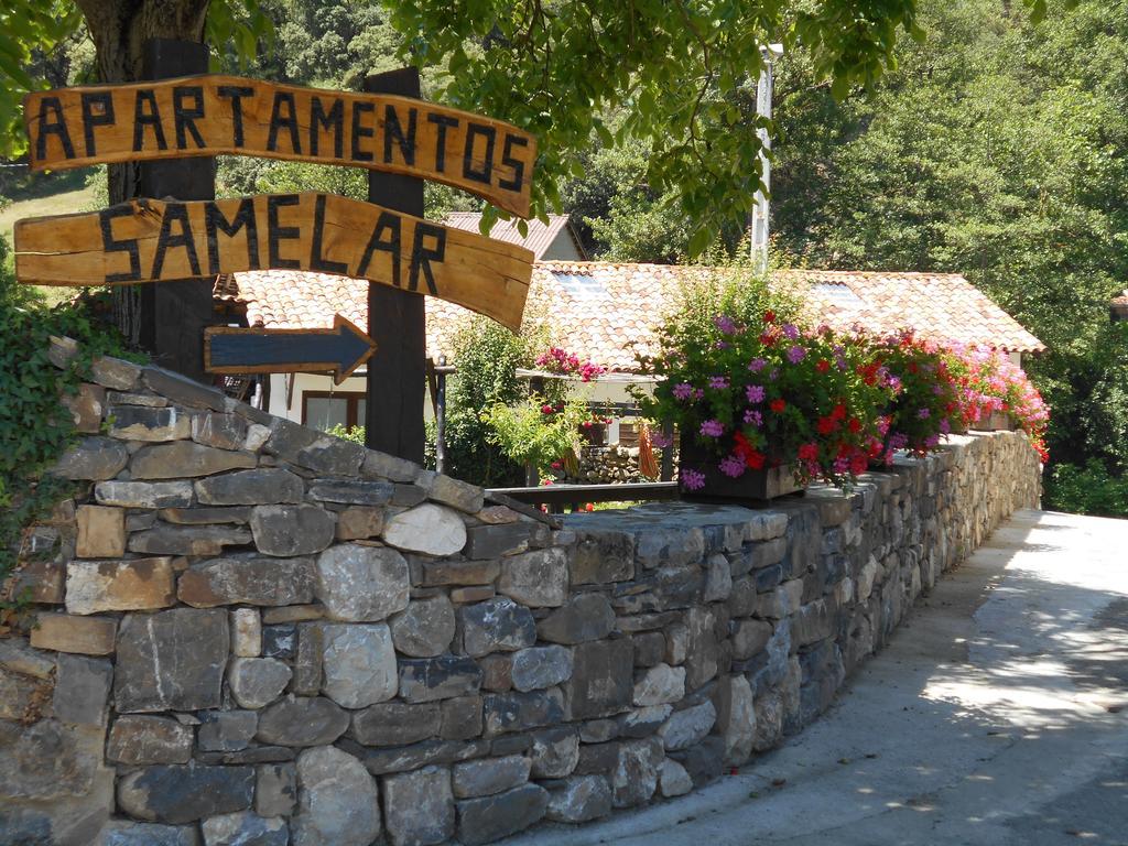 Camaleño Apartamentos Samelar מראה חיצוני תמונה